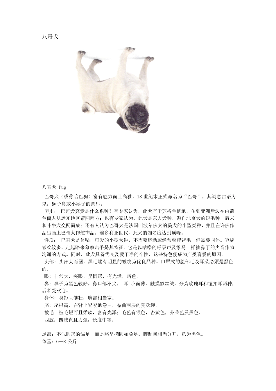 宠物狗的种类_第3页