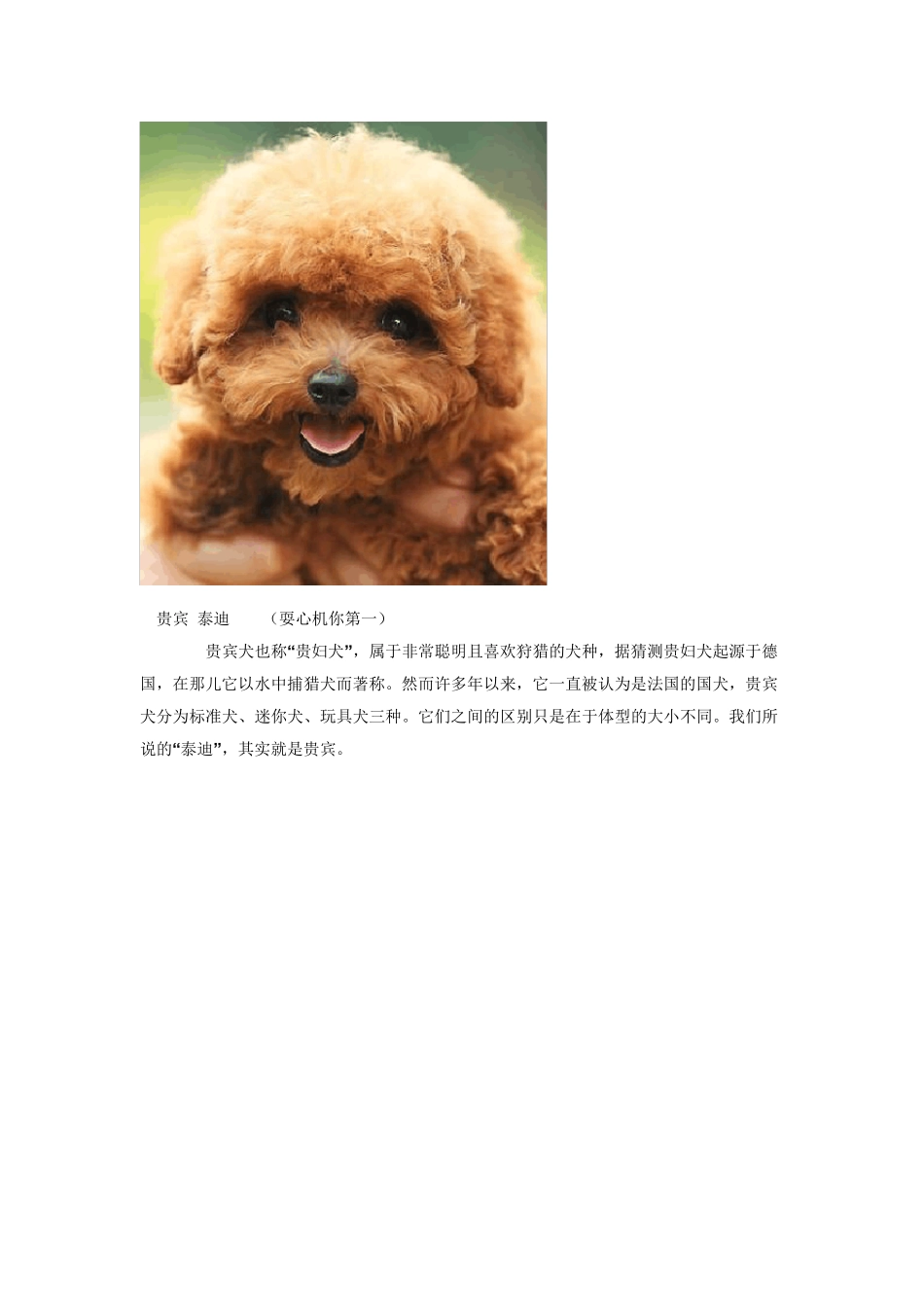 宠物狗智商排名大全(179名)_第2页
