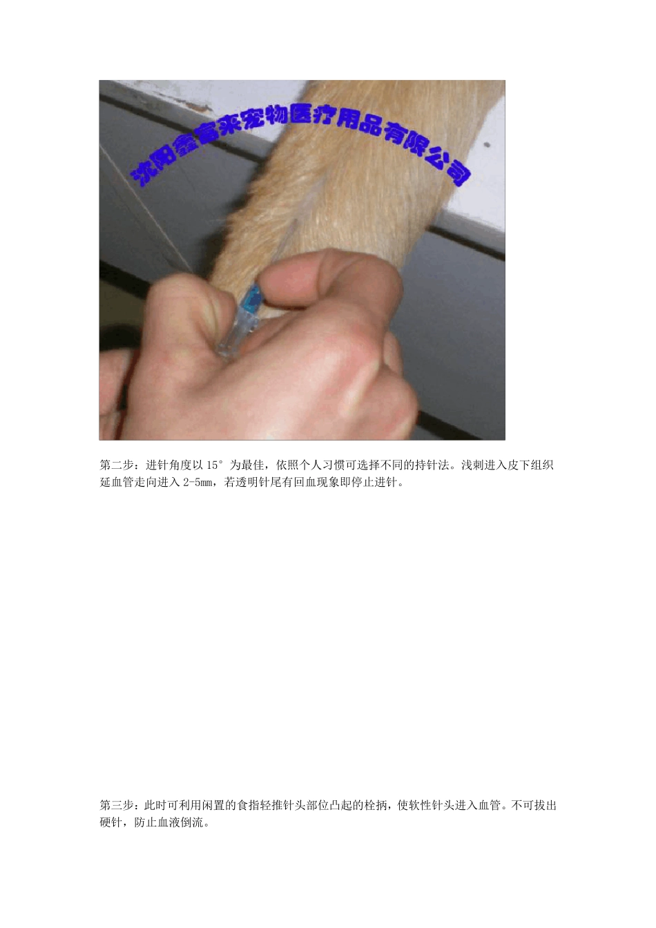宠物留置针的操作_第2页