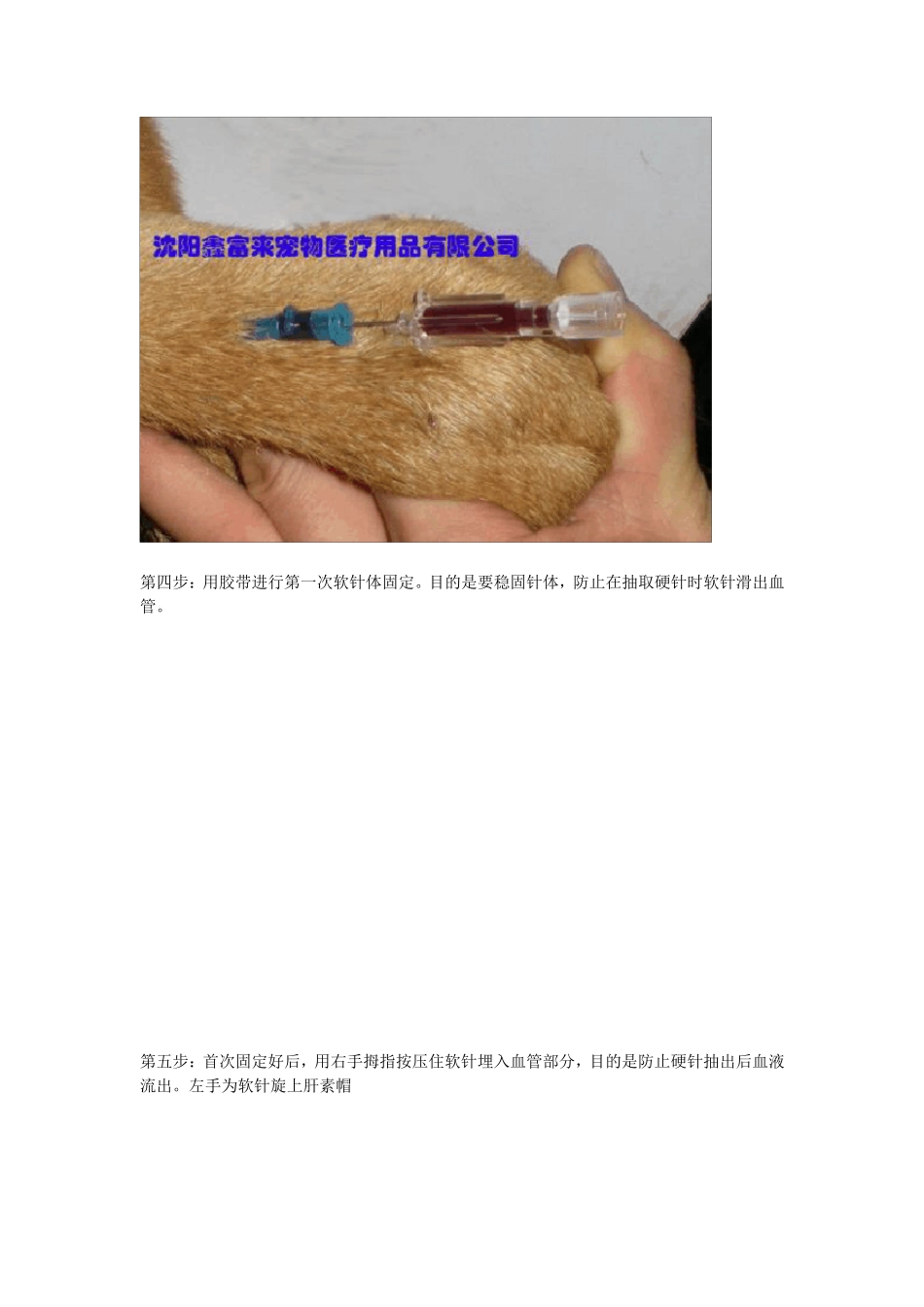 宠物留置针的操作_第3页