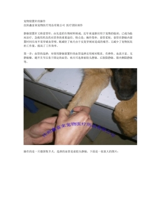 宠物留置针的操作