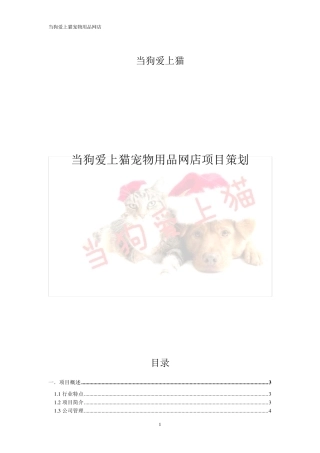 宠物网店策划案