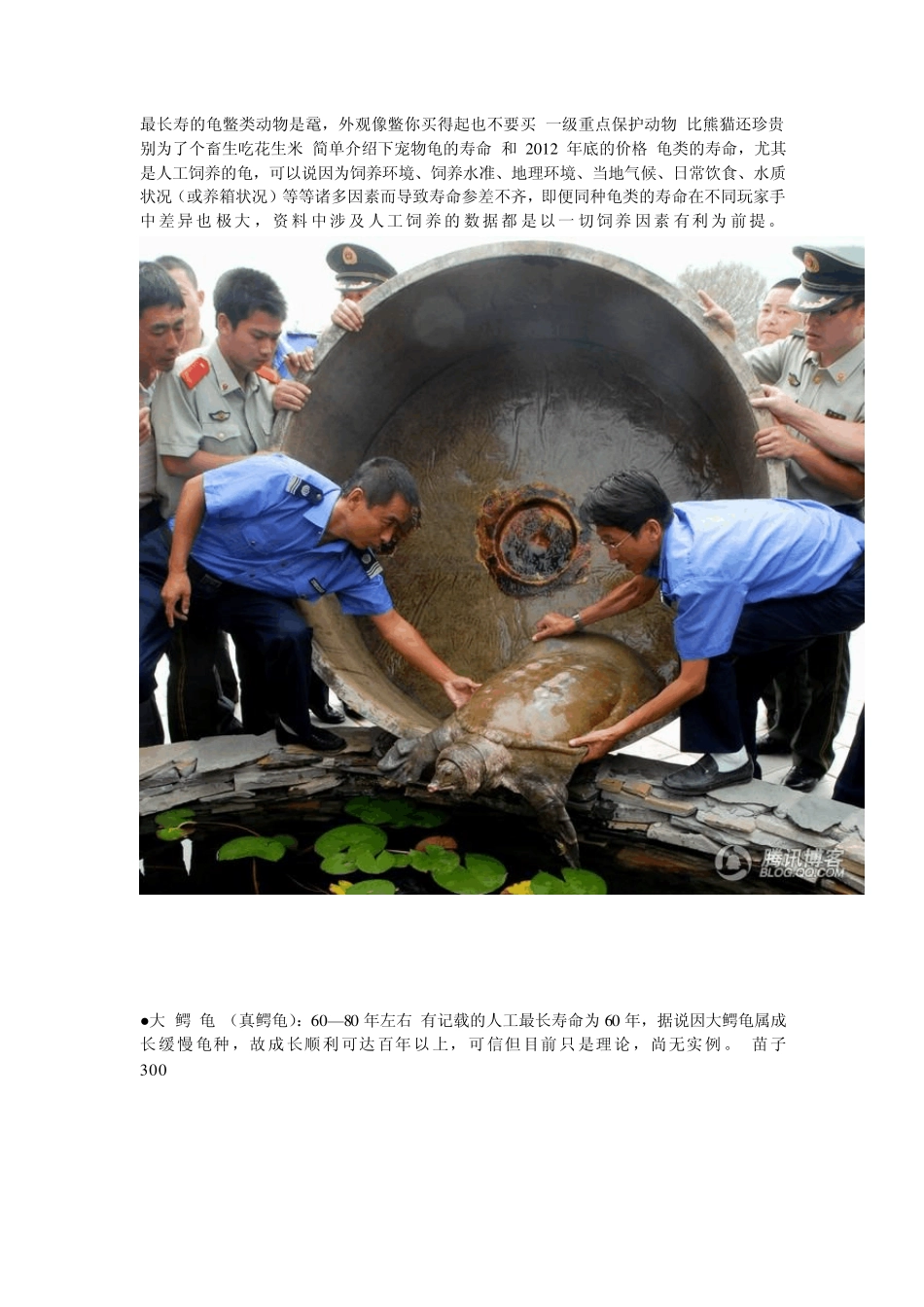 宠物龟寿命及价格_第1页