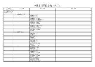 审计事项数据字典
