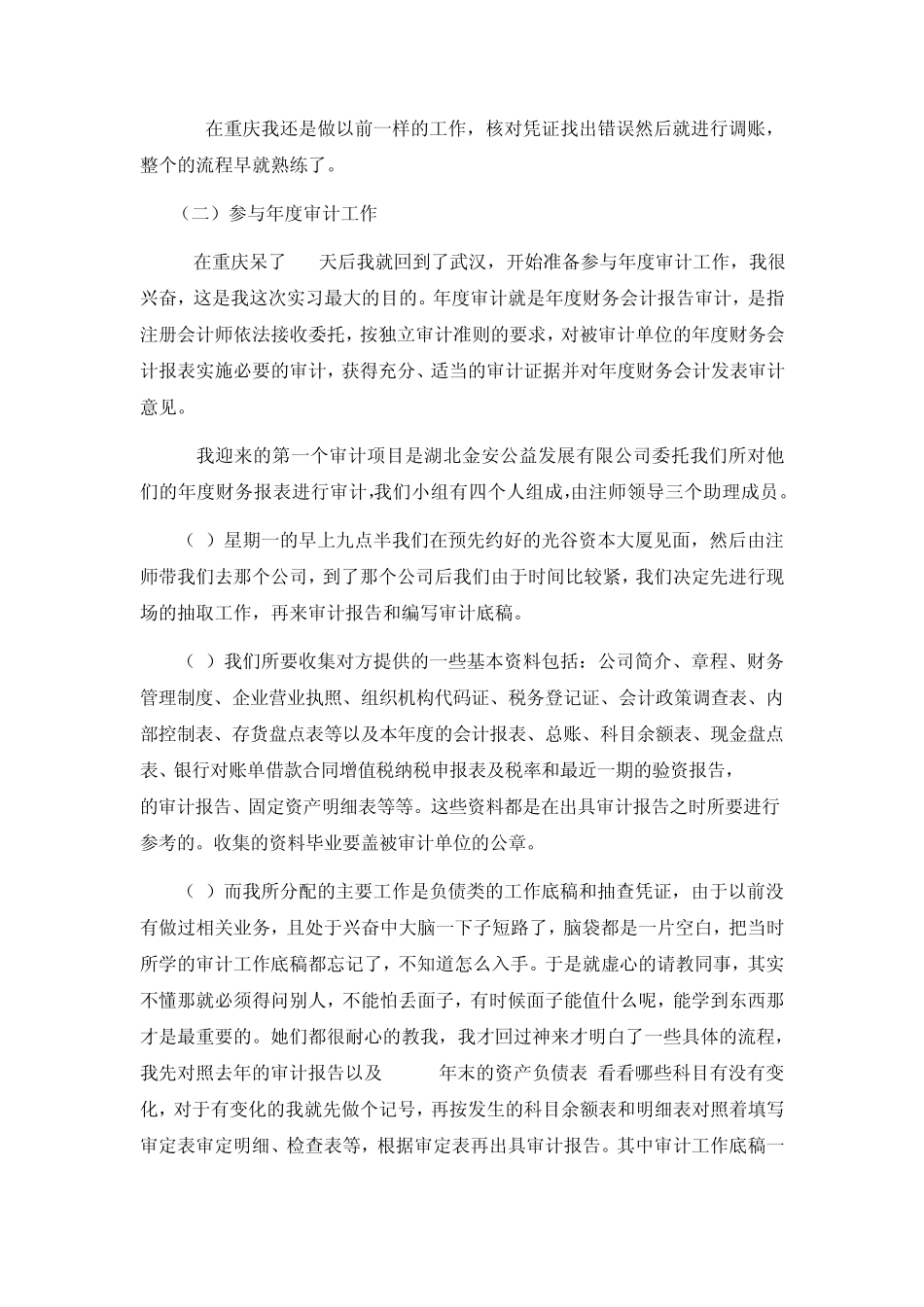 审计助理岗位实践报告_第3页