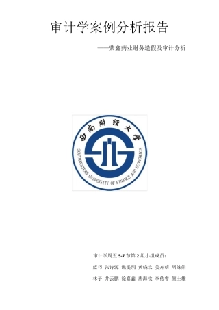 审计学案例分析报告