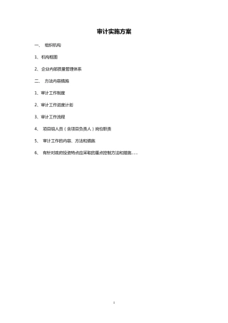 审计实施方案
