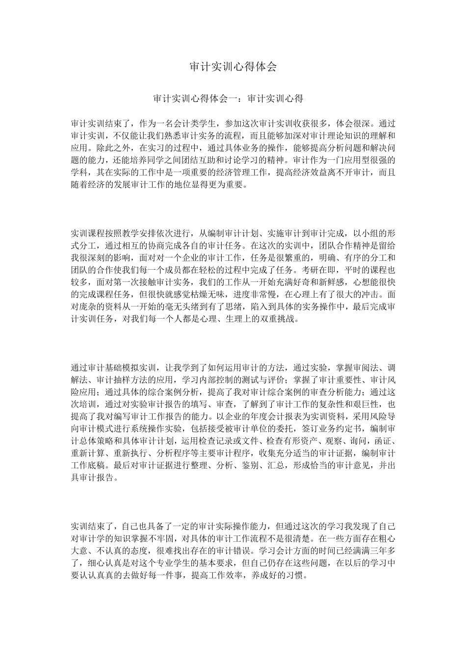 审计实训心得体会_第1页
