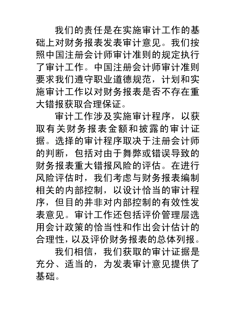 审计报告(实例)_第2页