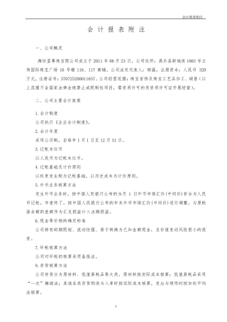 审计报告(附注)模板