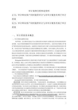 审计案例分析辩论资料