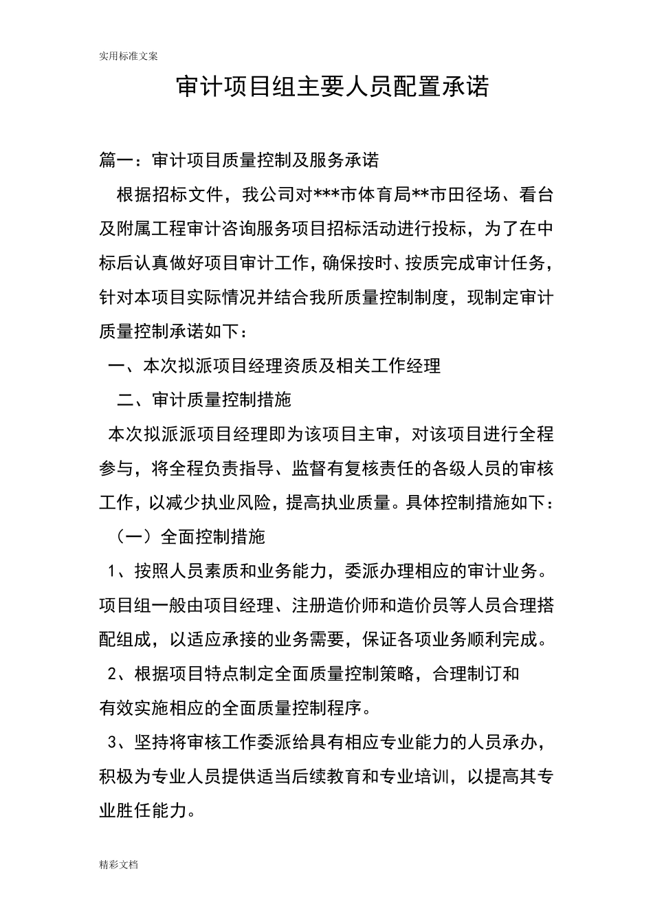 审计的项目组主要人员配置承诺_第1页