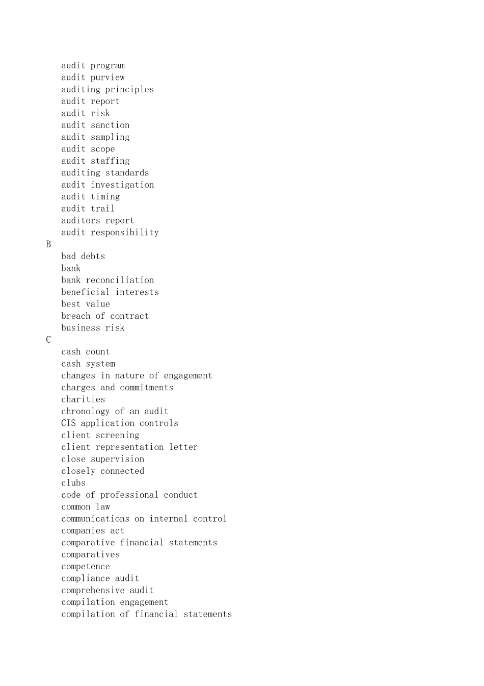 审计英语词汇_第2页