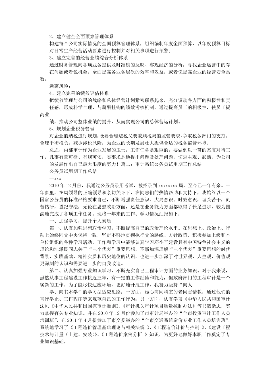 审计试用期工作总结_第2页