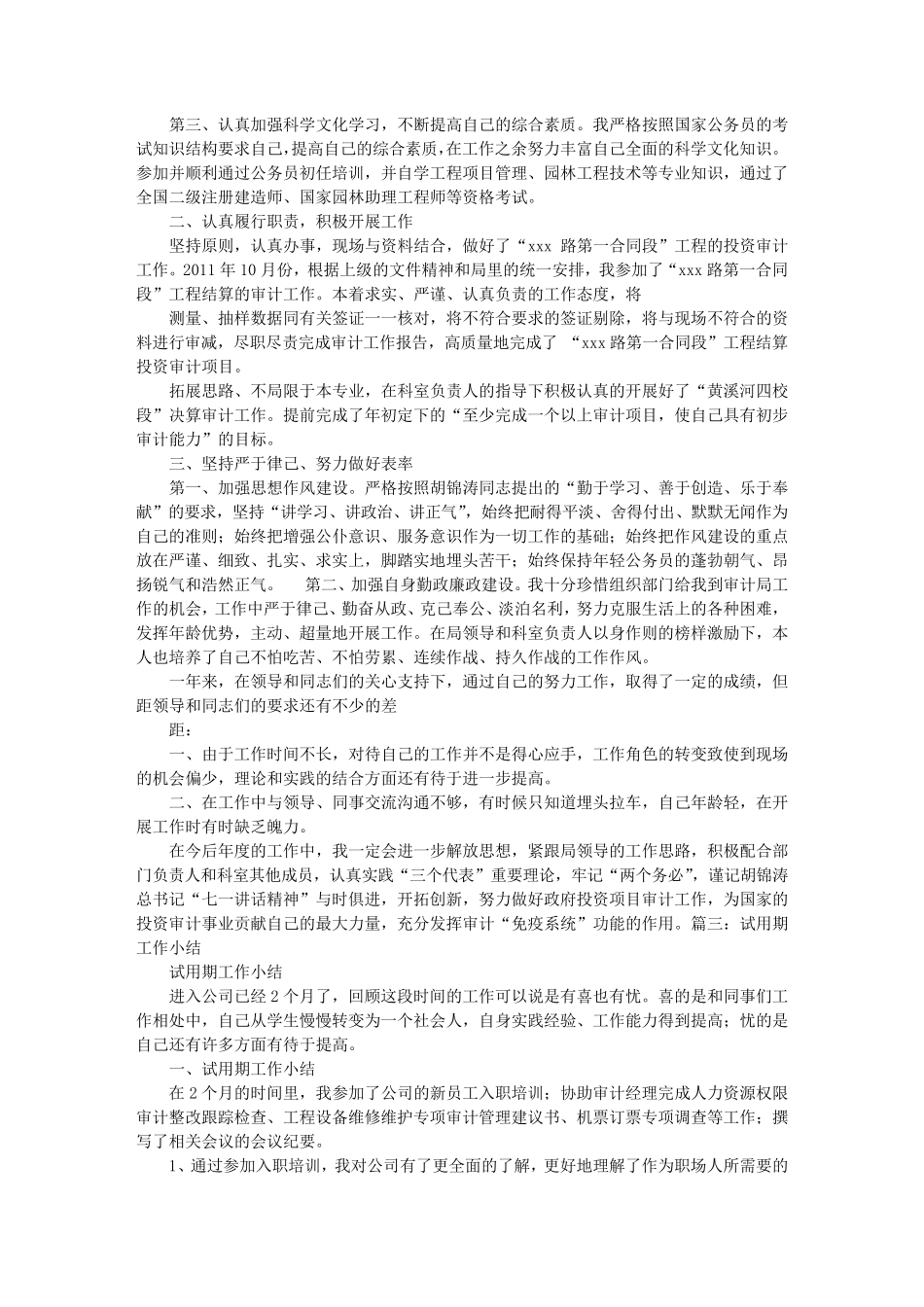 审计试用期工作总结_第3页