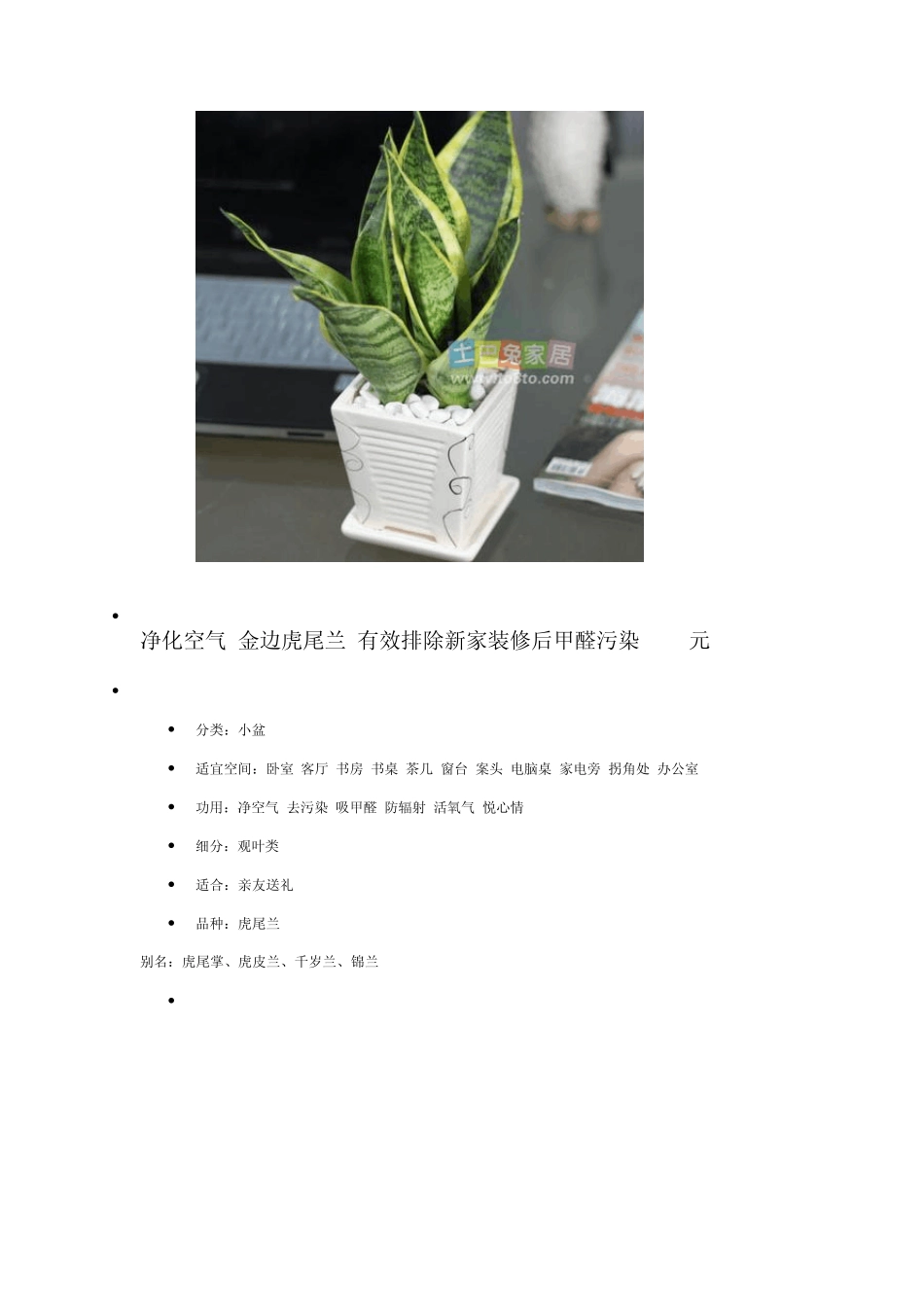 室内盆栽植物_第2页