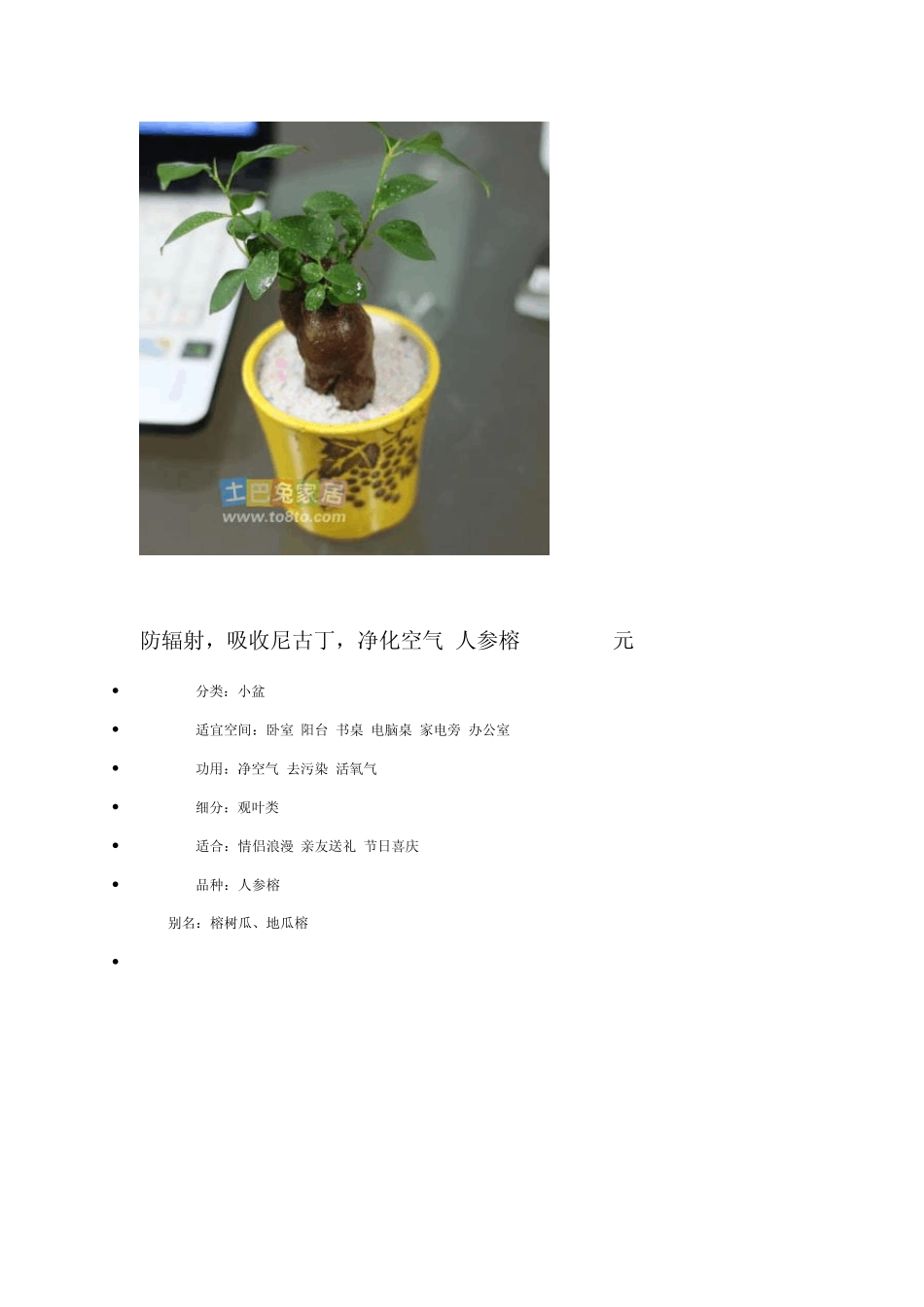 室内盆栽植物_第3页