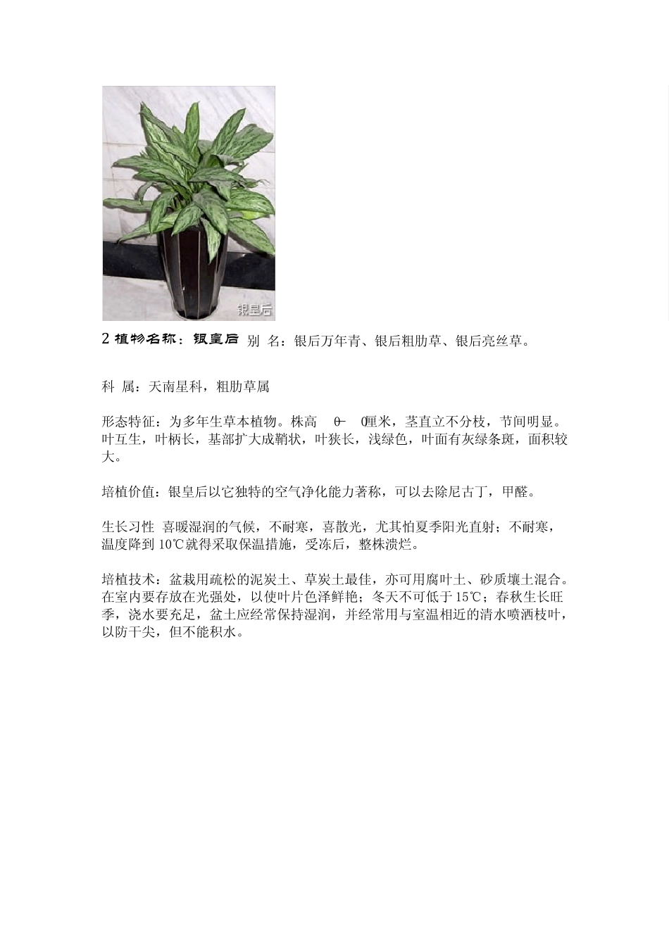 室内盆栽植物图例及种植要点_第2页