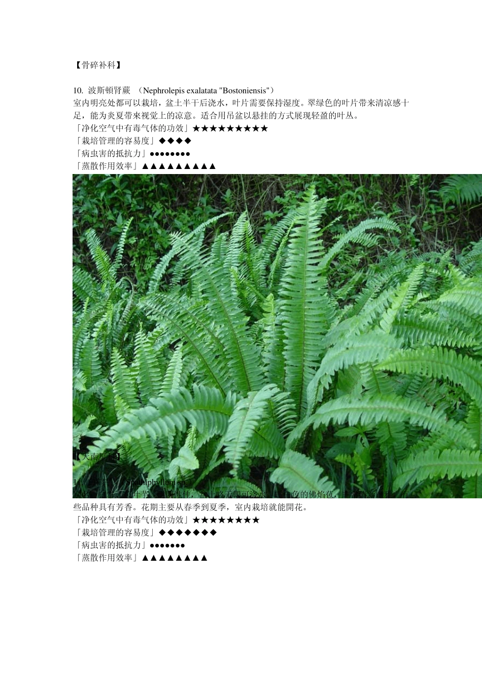 室内种植植物大全_第1页