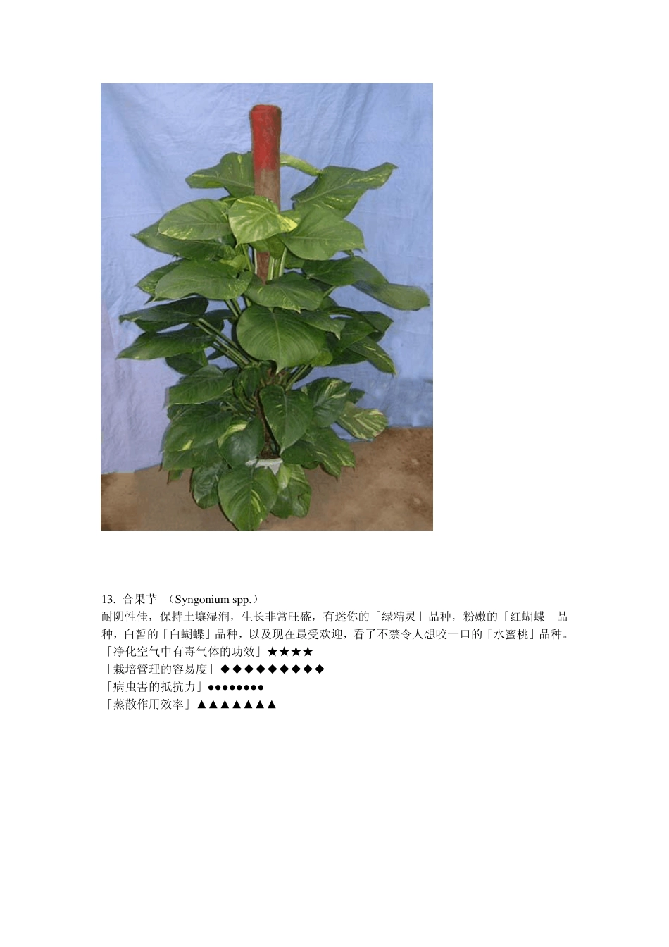 室内种植植物大全_第3页