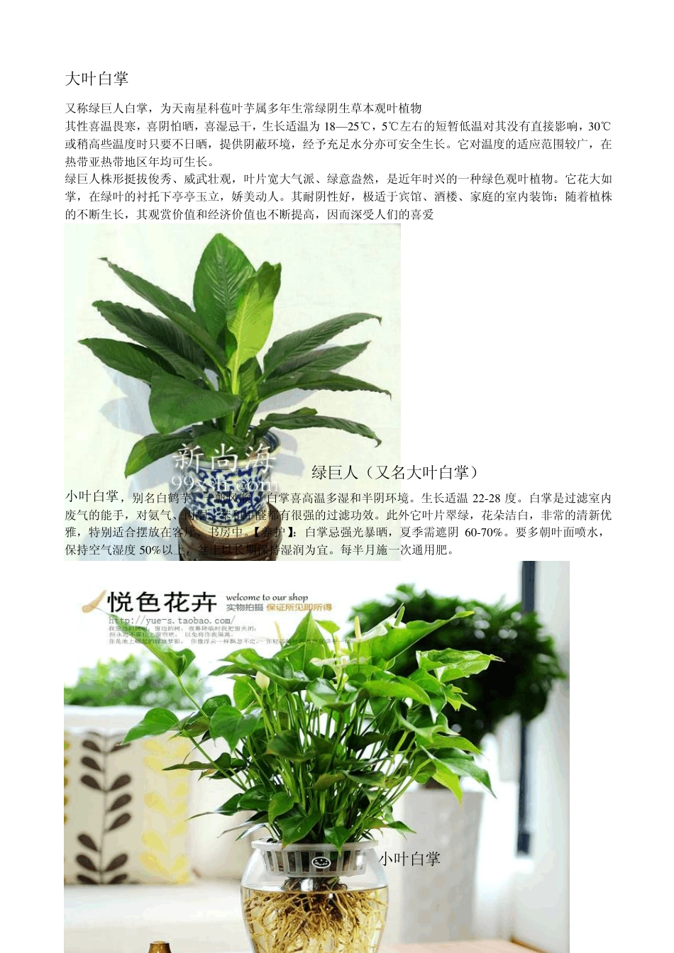 室内花卉养护常识_第2页