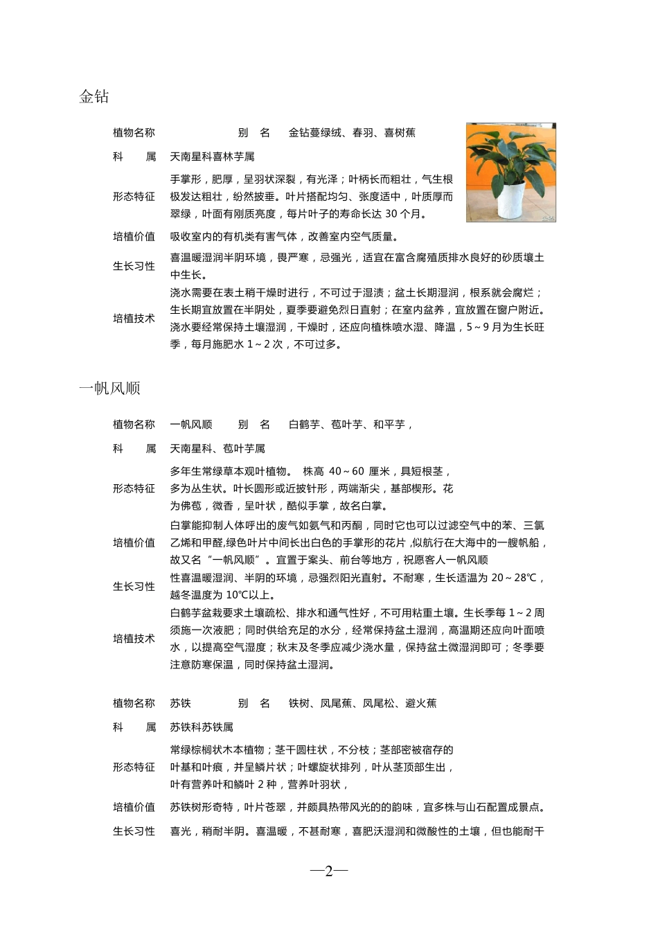 家中常见盆栽花卉知识大全(配图片)_第2页