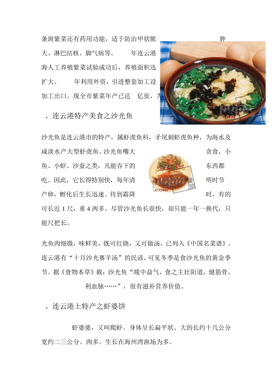 家乡连云港美食调研报告_第3页