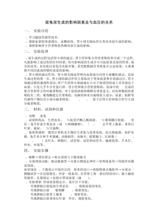 家兔尿生成的影响因素及与血压的关系