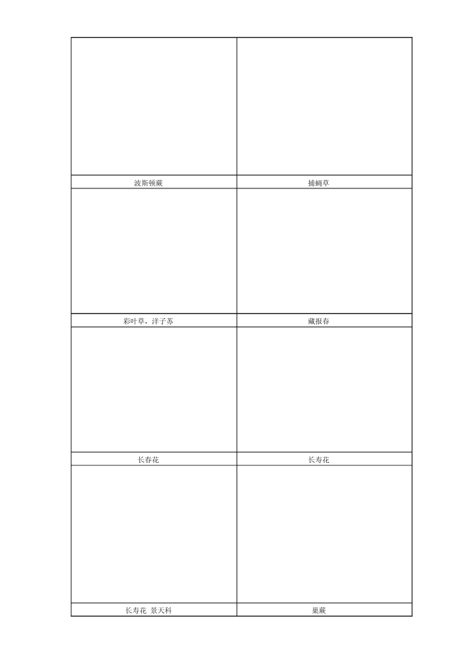 家庭养花图片大全_第2页