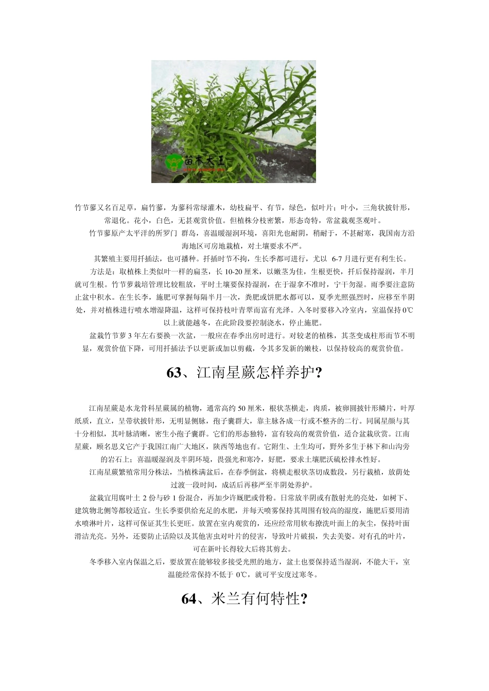 家庭养花大全(配图)七_第3页