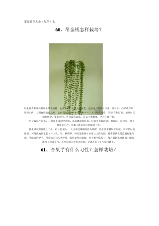 家庭养花大全(配图)七