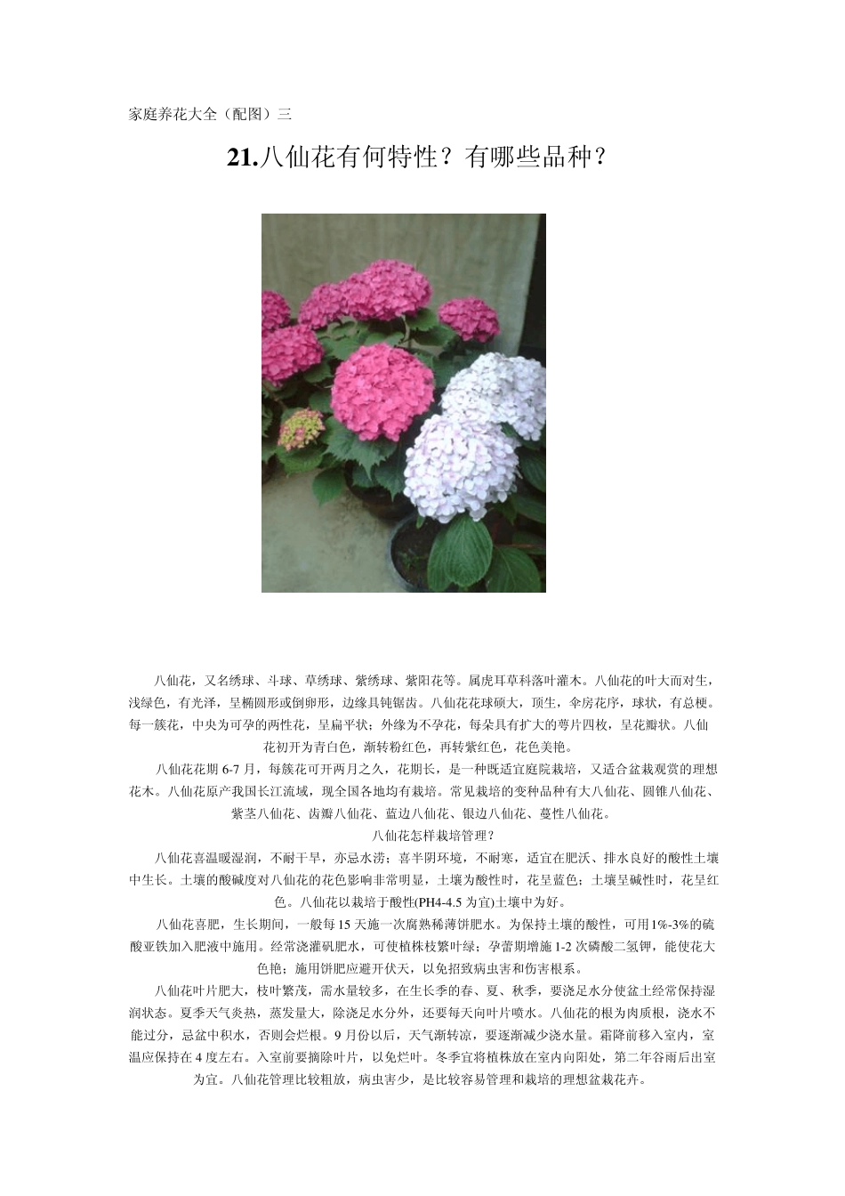 家庭养花大全(配图)三_第1页