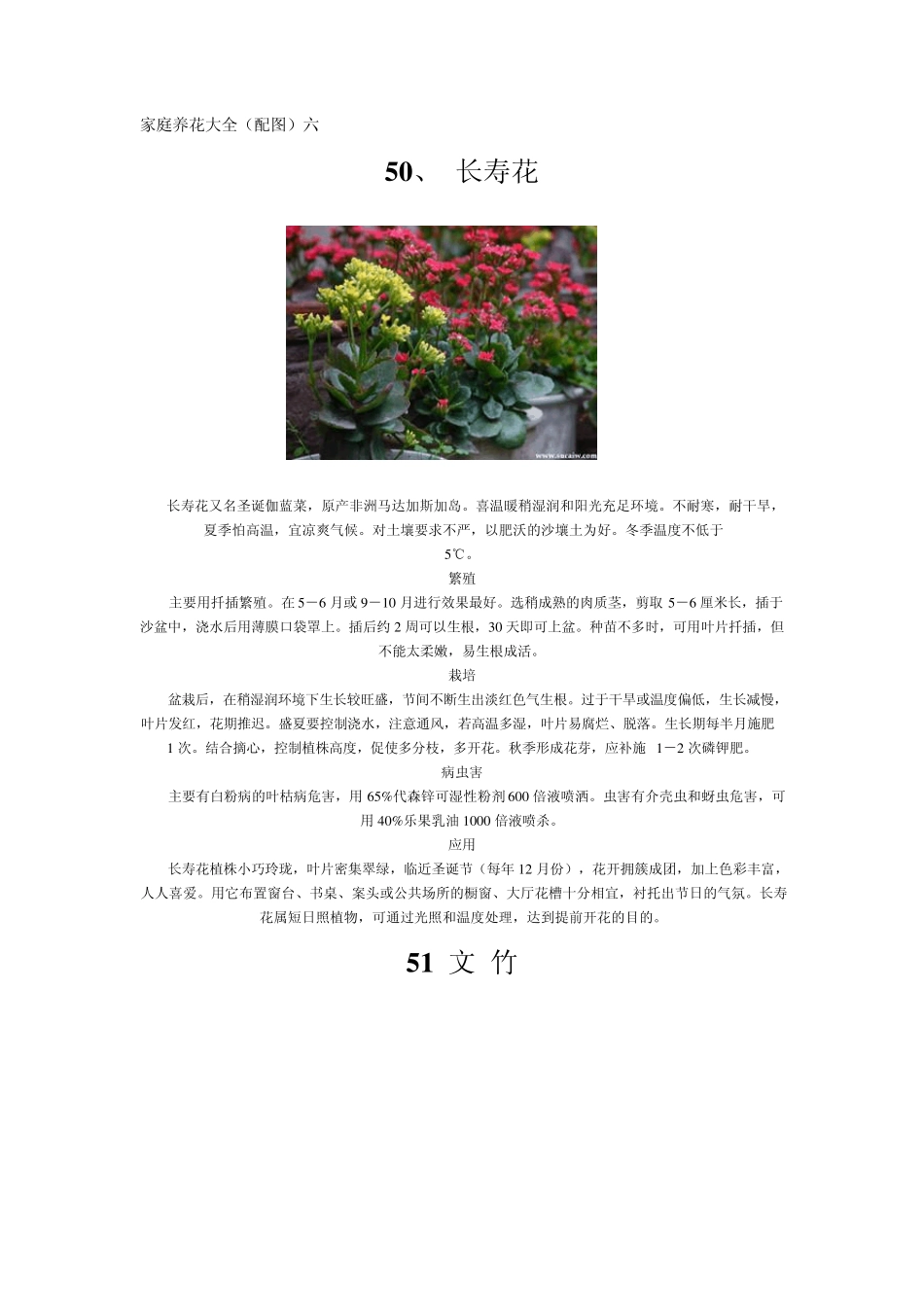 家庭养花大全(配图)六_第1页