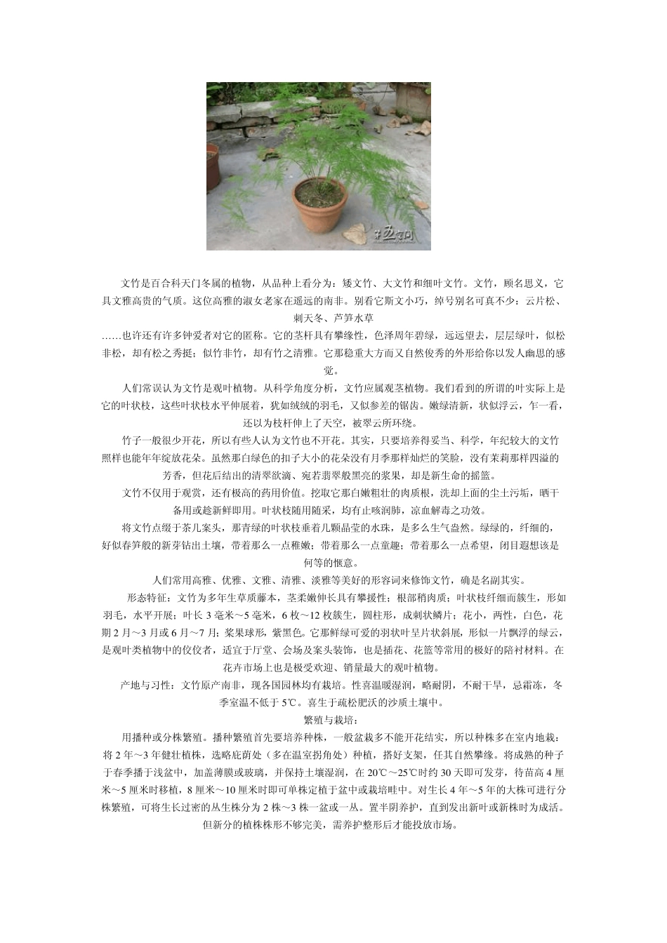 家庭养花大全(配图)六_第2页