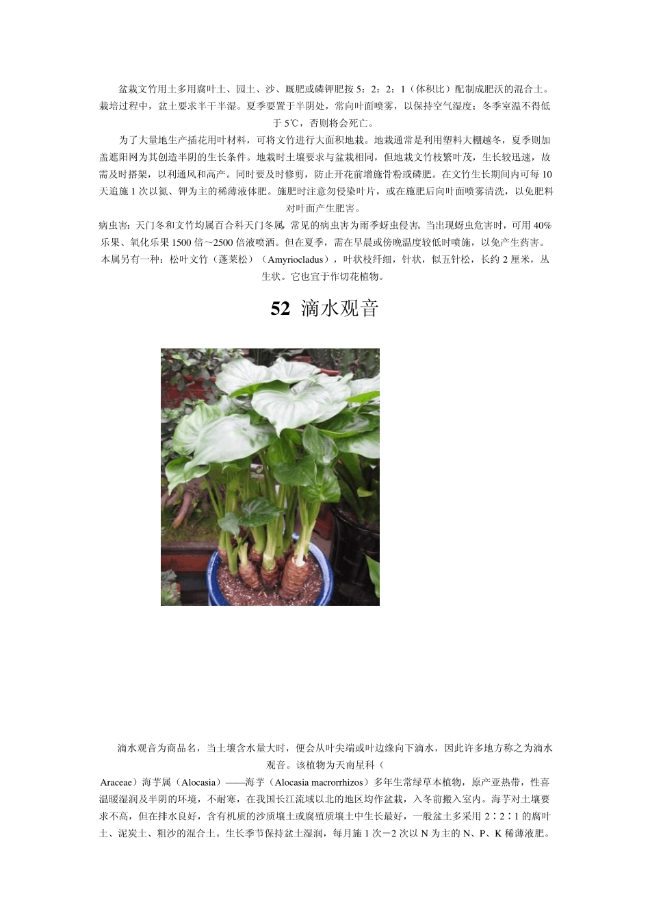 家庭养花大全(配图)六_第3页