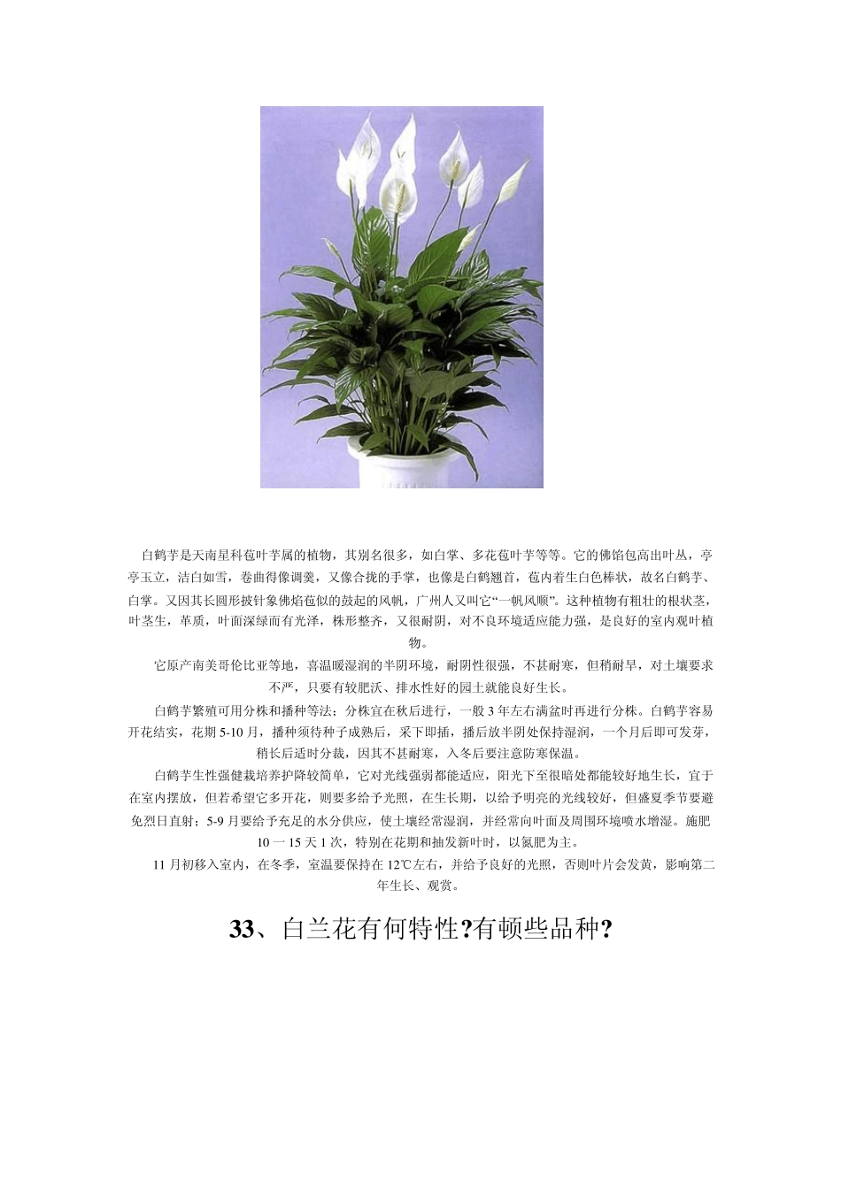 家庭养花大全(配图)四_第2页