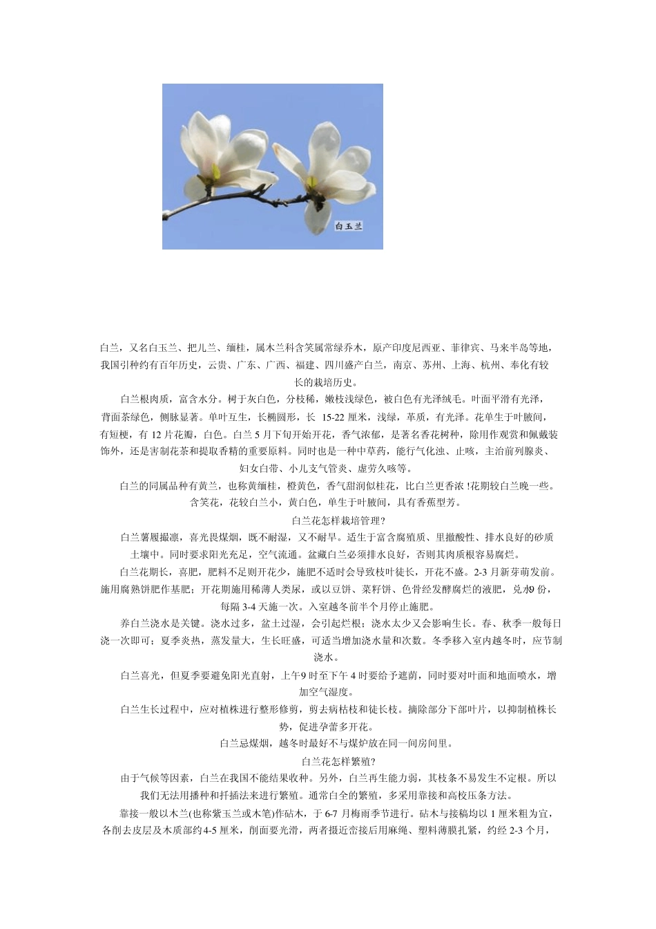 家庭养花大全(配图)四_第3页