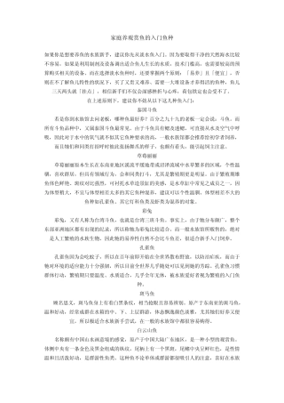 家庭养观赏鱼的入门鱼种