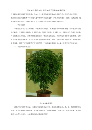 家庭常见观赏花木的养殖方法和注意事项