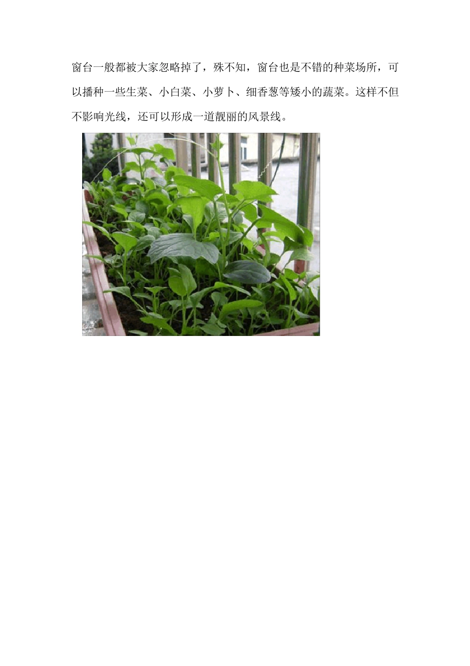 家庭种菜很简单_第3页