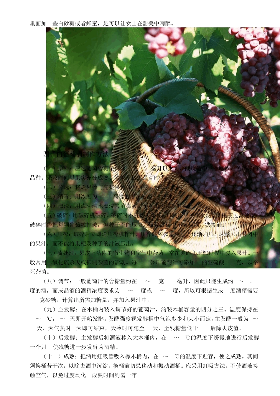 家庭自制葡萄酒的制作方法及功效_第3页