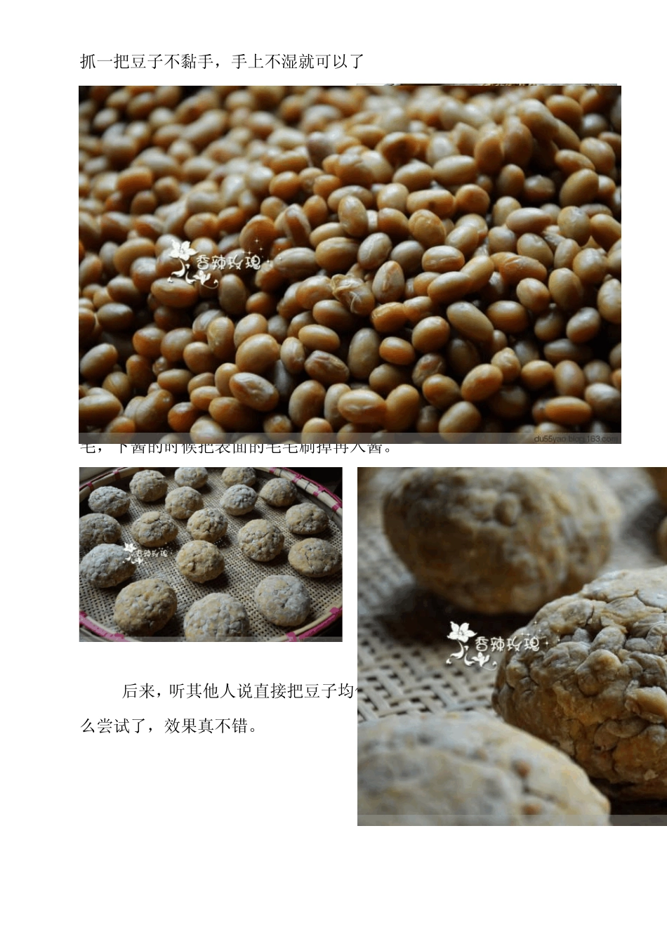 家庭自酿黄豆酱_第3页