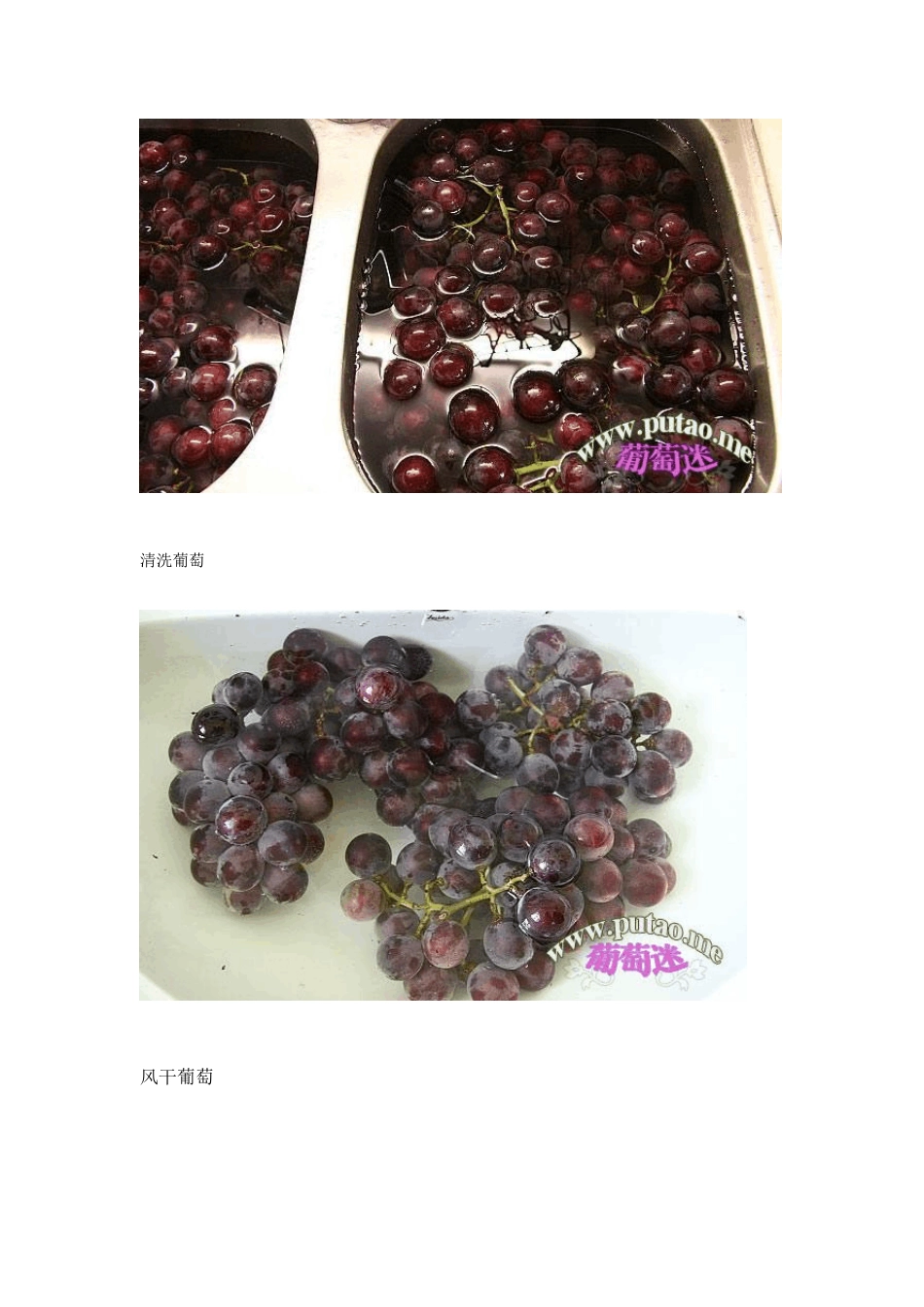 家庭自酿干红葡萄酒全过程(图文说明)_第2页