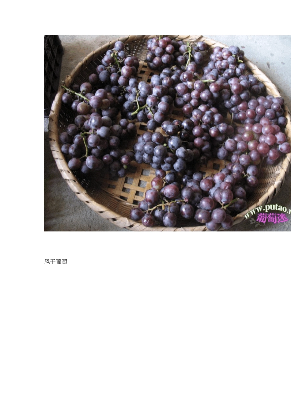 家庭自酿干红葡萄酒全过程(图文说明)_第3页