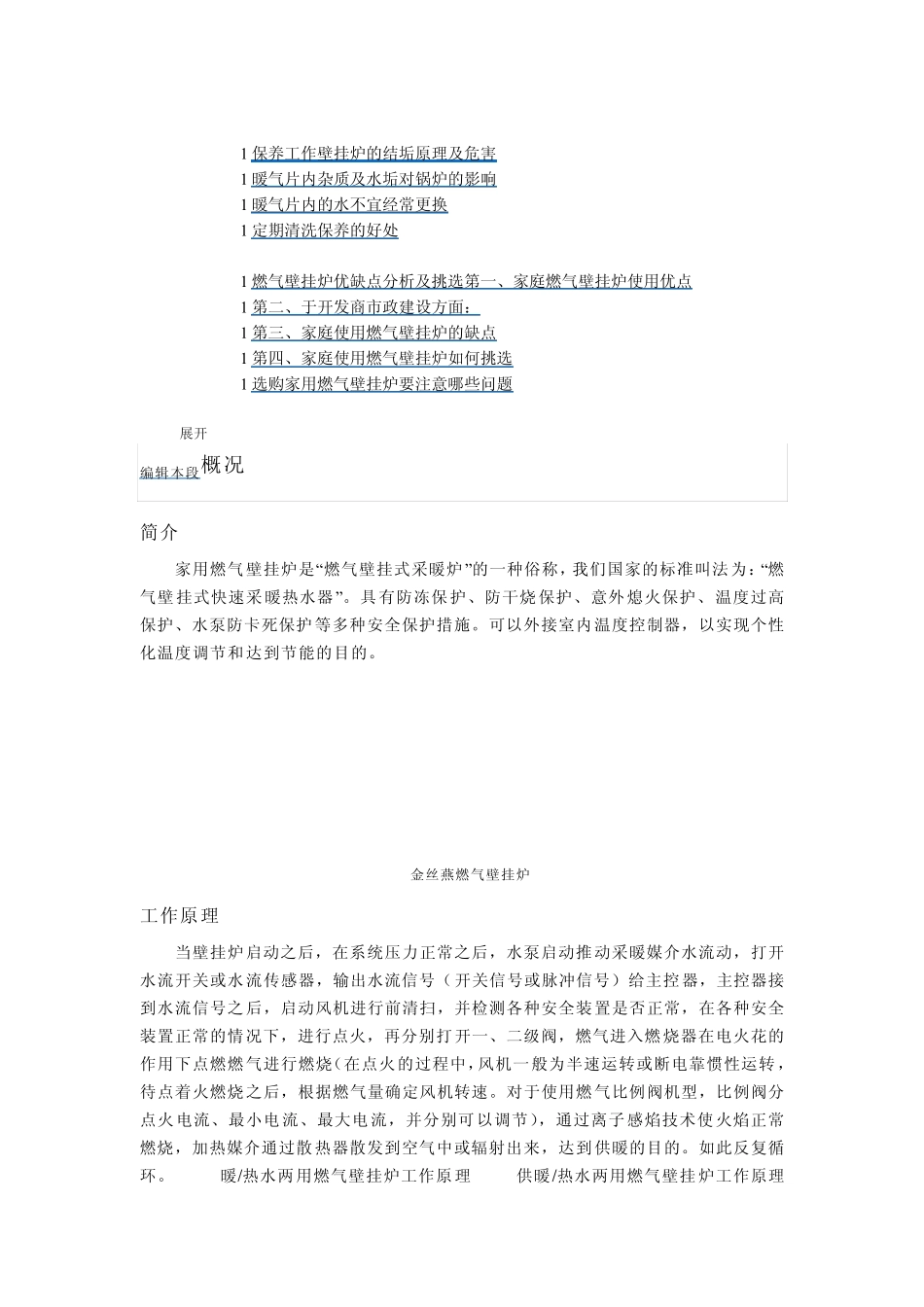 家用燃气壁挂炉_第2页