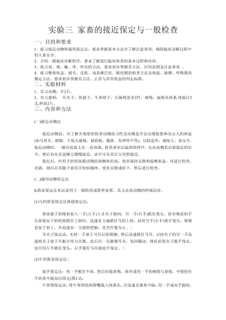 家畜的接近保定与一般检查