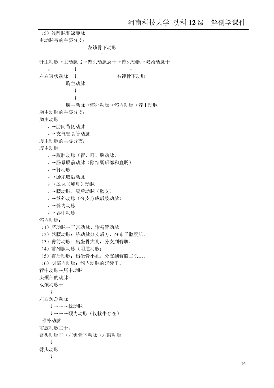 家畜解剖学课件Word版_第3页