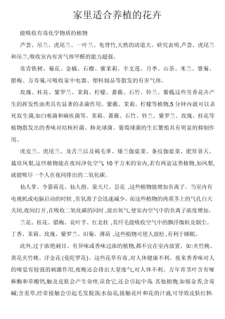 家里适合养的花