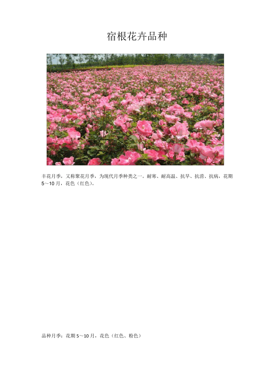 宿根花卉品种_第1页