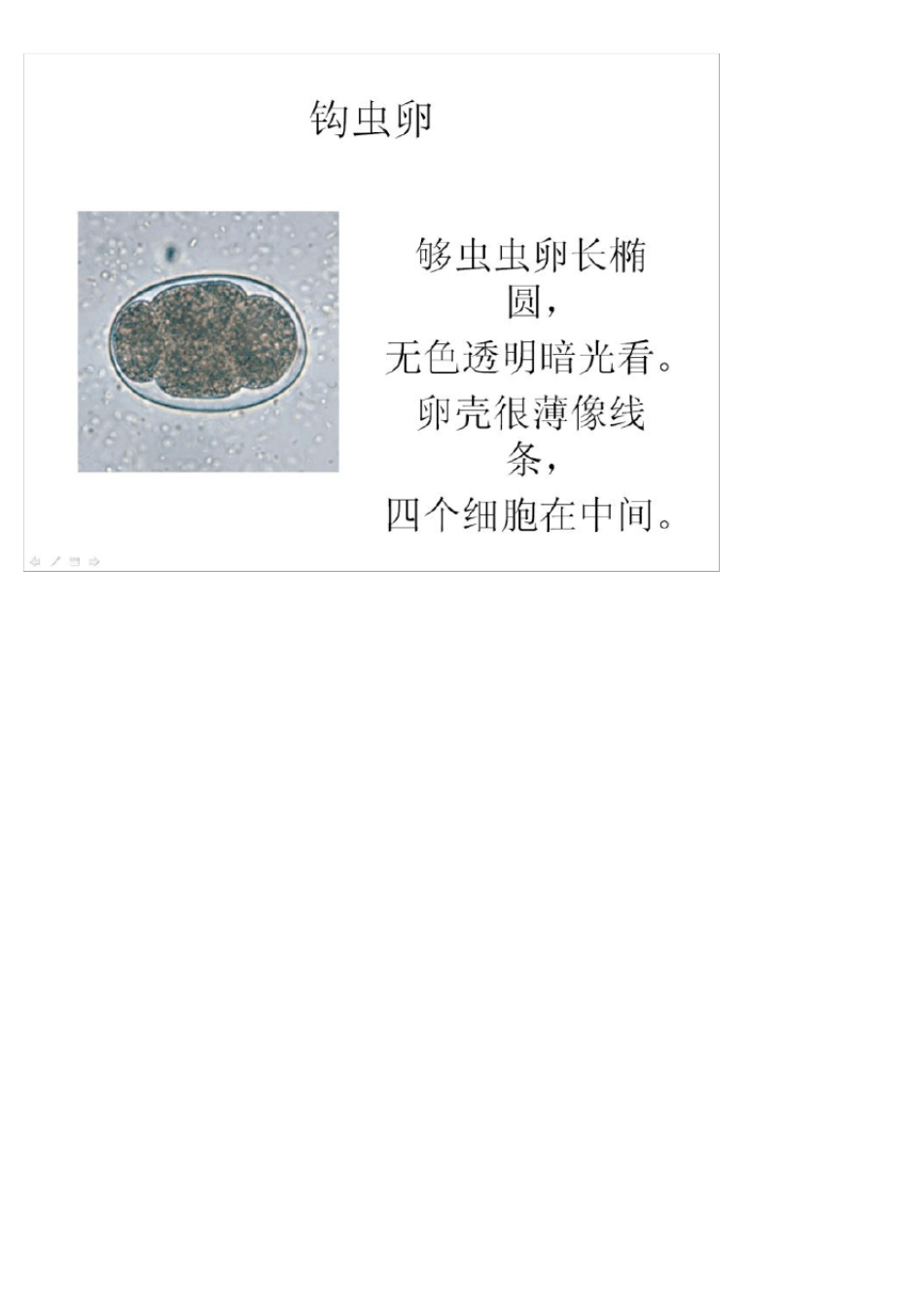 寄生虫虫卵鉴别,重点总结_第2页